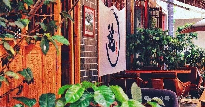 逃离喧嚣，遁入咖啡香 | 在普洱“逃城”，邂逅一杯云南咖啡的庇护与梦想